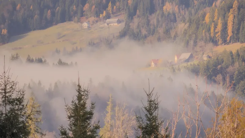 Die Südsteiermark im Herbst – drei Tage zwischen Nebel, Genuss & echter Regionalität