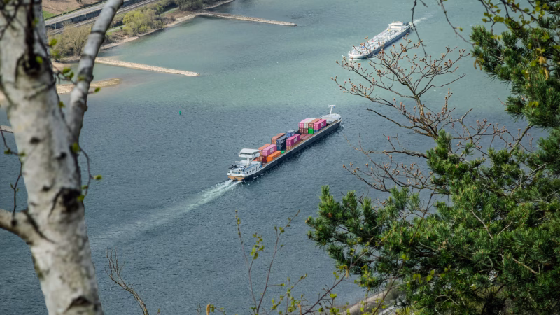 Rheingau im Frühling: 3 Tage Wanderglück zwischen Rhein, Wein und Ruhe