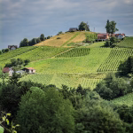 Südsteiermark erleben – Genuss, Natur und aktive Auszeit zwischen Weinbergen, regionalen Spezialitäten und herrlichen Ausblicken