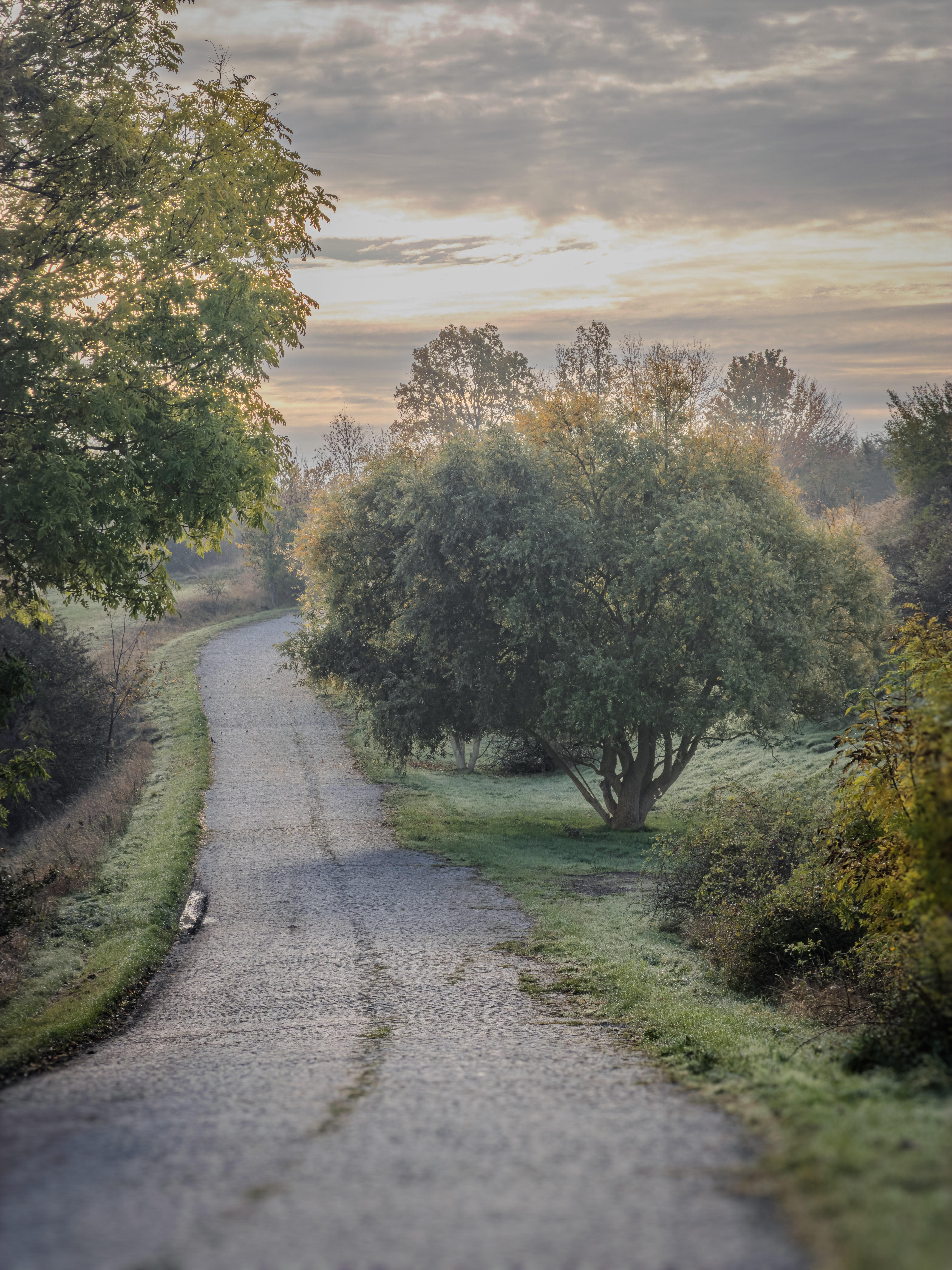 Drei Tage Wartburg Hainich: Altstadt, Herbstwald und Genuss